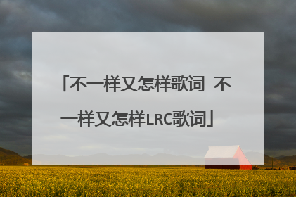 不一样又怎样歌词 不一样又怎样LRC歌词
