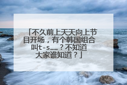 不久前上天天向上节目开场，有个韩国组合叫t-s……？不知道大家谁知道？