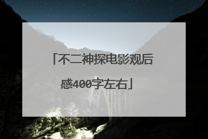 不二神探电影观后感400字左右
