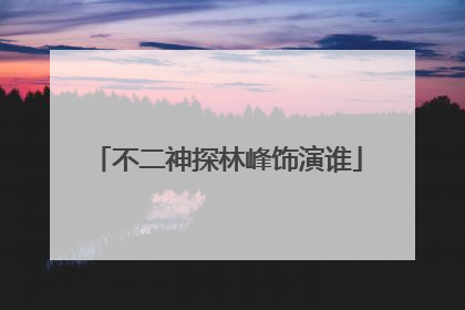 不二神探林峰饰演谁