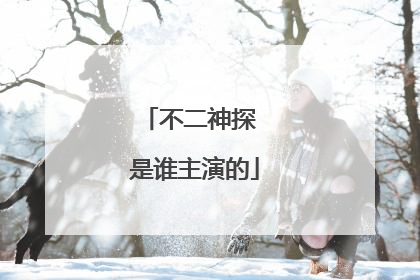 不二神探 是谁主演的