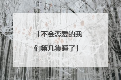 不会恋爱的我们第几集睡了