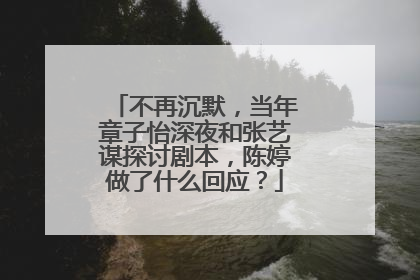 不再沉默，当年章子怡深夜和张艺谋探讨剧本，陈婷做了什么回应？