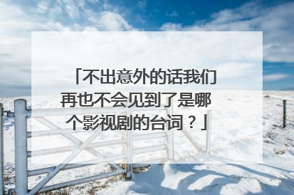 不出意外的话我们再也不会见到了是哪个影视剧的台词？