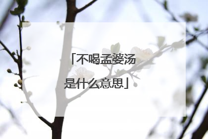 不喝孟婆汤是什么意思