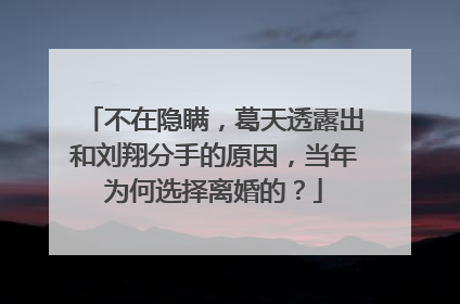 不在隐瞒,葛天透露出和刘翔分手的原因,当年为何选择离婚的?