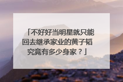 不好好当明星就只能回去继承家业的黄子韬究竟有多少身家?