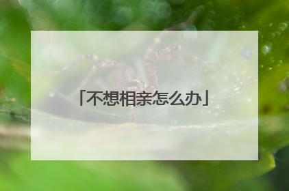 不想相亲怎么办