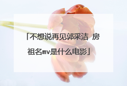 不想说再见郭采洁 房祖名mv是什么电影