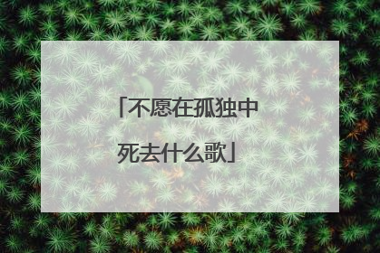 不愿在孤独中死去什么歌