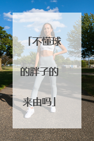 不懂球的胖子的来由吗