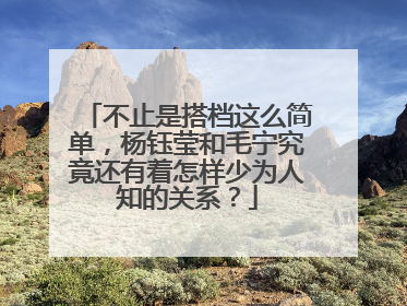 不止是搭档这么简单,杨钰莹和毛宁究竟还有着怎样少为人知的关系?