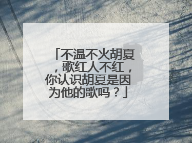 不温不火胡夏,歌红人不红,你认识胡夏是因为他的歌吗?