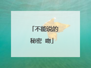不能说的秘密 吻