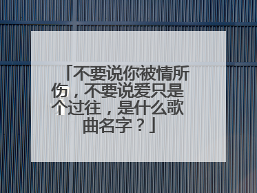 不要说你被情所伤，不要说爱只是个过往，是什么歌曲名字？