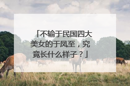 不输于民国四大美女的于凤至，究竟长什么样子？