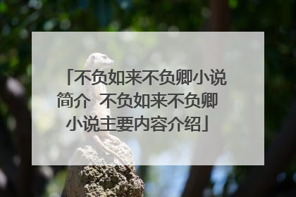 不负如来不负卿小说简介 不负如来不负卿小说主要内容介绍