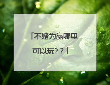 不赌为赢哪里可以玩??