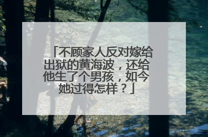 不顾家人反对嫁给出狱的黄海波,还给他生了个男孩,如今她过得怎样?