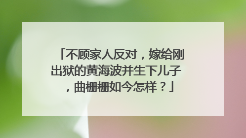 不顾家人反对,嫁给刚出狱的黄海波并生下儿子,曲栅栅如今怎样?