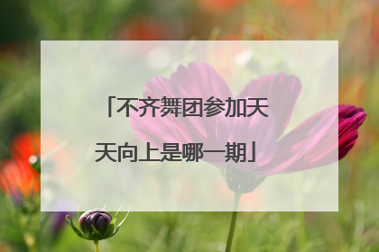 不齐舞团参加天天向上是哪一期