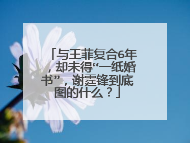 与王菲复合6年,却未得“一纸婚书”,谢霆锋到底图的什么?