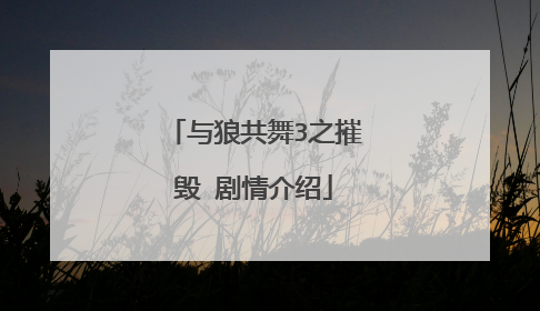 与狼共舞3之摧毁 剧情介绍