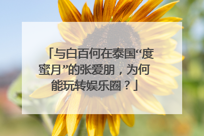 与白百何在泰国“度蜜月”的张爱朋，为何能玩转娱乐圈？