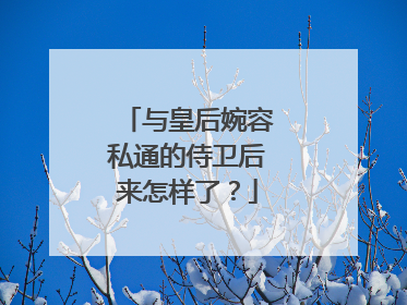 与皇后婉容私通的侍卫后来怎样了?