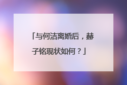 与何洁离婚后,赫子铭现状如何?