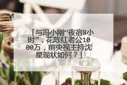 与冯小刚“夜宿8小时”,花陈红老公1000万,前央视主持沈星现状如何?