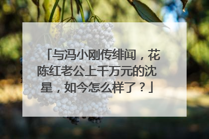 与冯小刚传绯闻,花陈红老公上千万元的沈星,如今怎么样了?
