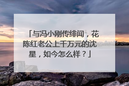 与冯小刚传绯闻,花陈红老公上千万元的沈星,如今怎么样?