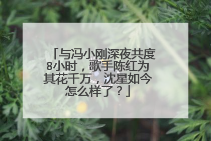 与冯小刚深夜共度8小时,歌手陈红为其花千万,沈星如今怎么样了?