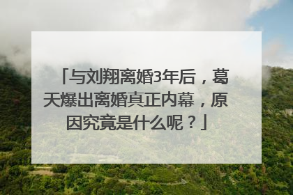 与刘翔离婚3年后,葛天爆出离婚真正内幕,原因究竟是什么呢?
