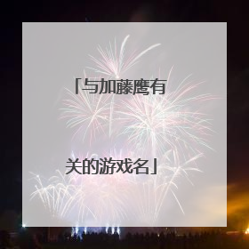 与加藤鹰有关的游戏名