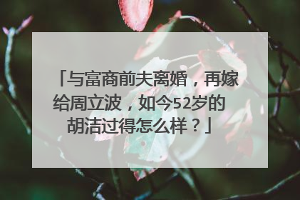 与富商前夫离婚，再嫁给周立波，如今52岁的胡洁过得怎么样？