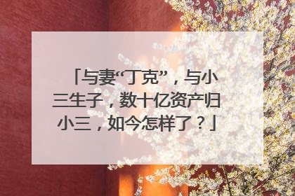 与妻“丁克”，与小三生子，数十亿资产归小三，如今怎样了？