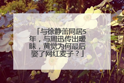 与徐静蕾同居5年，与周迅传出暧昧，黄觉为何最后娶了网红麦子？