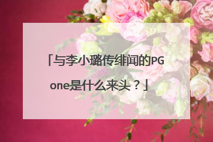 与李小璐传绯闻的PGone是什么来头?
