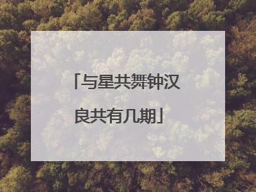 与星共舞钟汉良共有几期