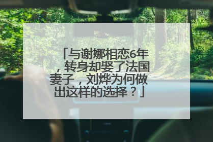 与谢娜相恋6年，转身却娶了法国妻子，刘烨为何做出这样的选择？