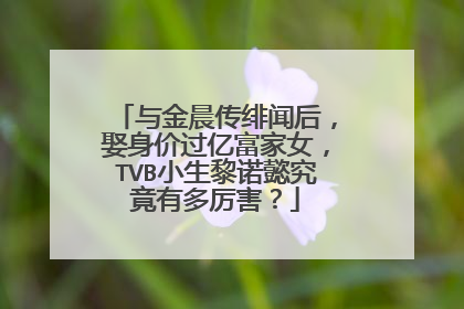 与金晨传绯闻后，娶身价过亿富家女，TVB小生黎诺懿究竟有多厉害？