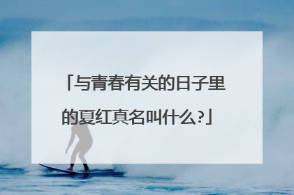 与青春有关的日子里的夏红真名叫什么?