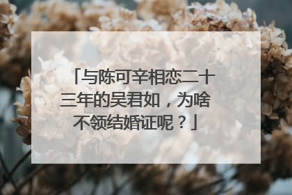与陈可辛相恋二十三年的吴君如，为啥不领结婚证呢？