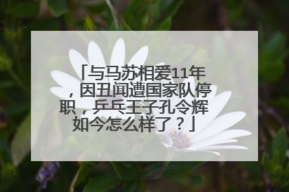 与马苏相爱11年,因丑闻遭国家队停职,乒乓王子孔令辉如今怎么样了?