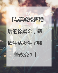 与高晓松离婚后的徐粲金，感情生活发生了哪些改变？