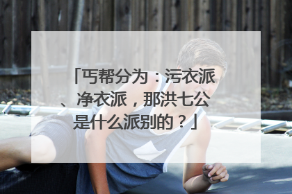 丐帮分为:污衣派、净衣派,那洪七公是什么派别的?