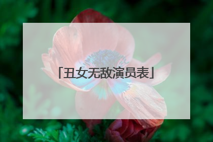 丑女无敌演员表