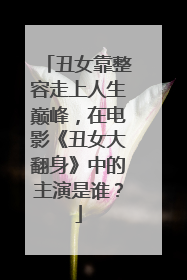丑女靠整容走上人生巅峰，在电影《丑女大翻身》中的主演是谁？